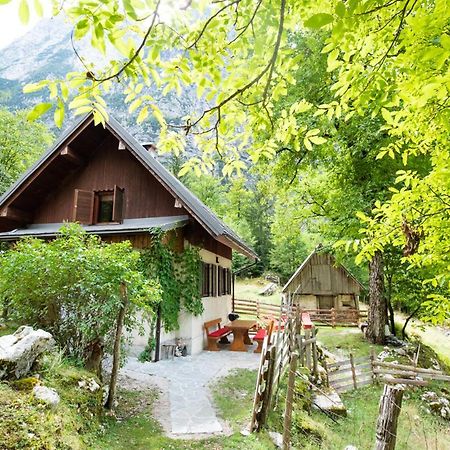 Alpine House Antonia Villa Trenta Dış mekan fotoğraf