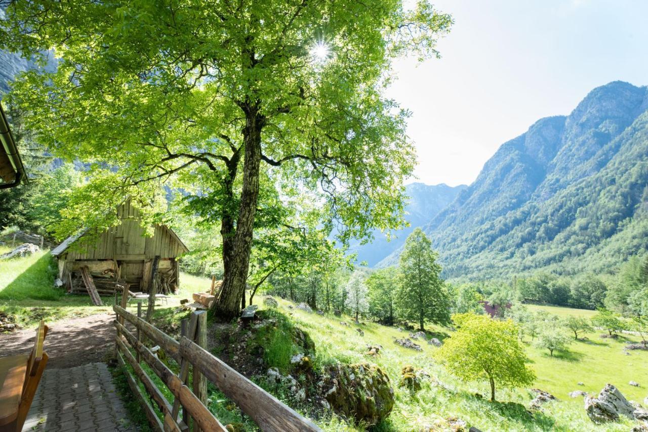 Alpine House Antonia Villa Trenta Dış mekan fotoğraf