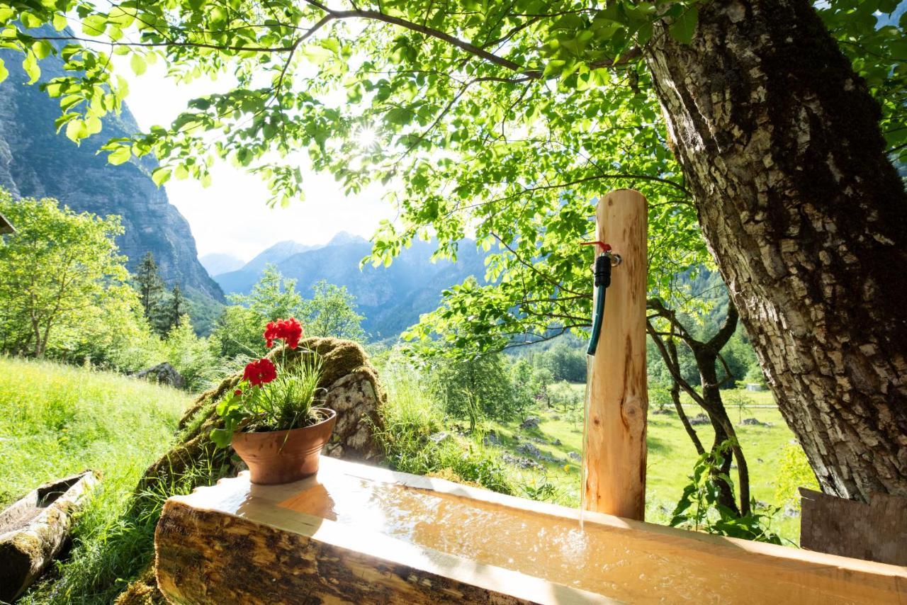 Alpine House Antonia Villa Trenta Dış mekan fotoğraf