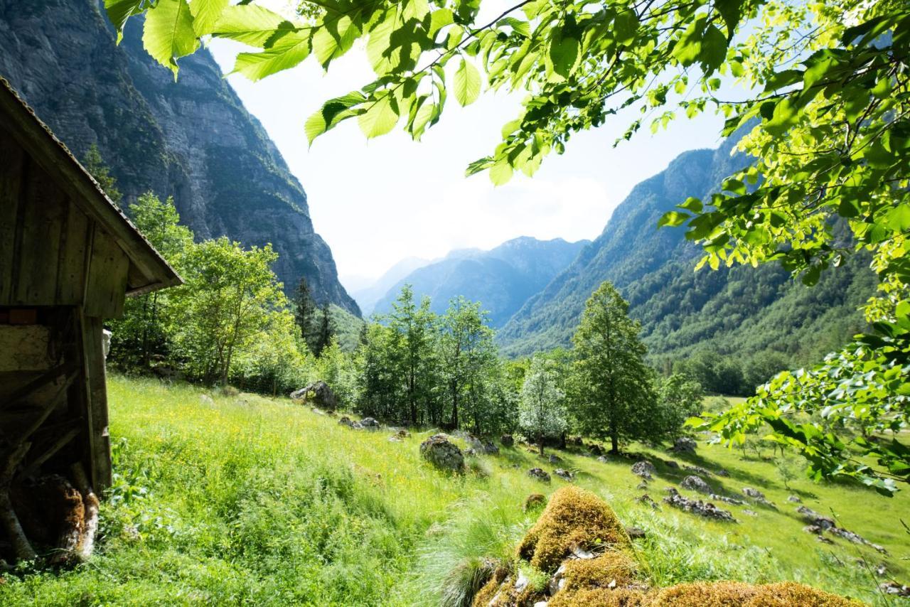 Alpine House Antonia Villa Trenta Dış mekan fotoğraf