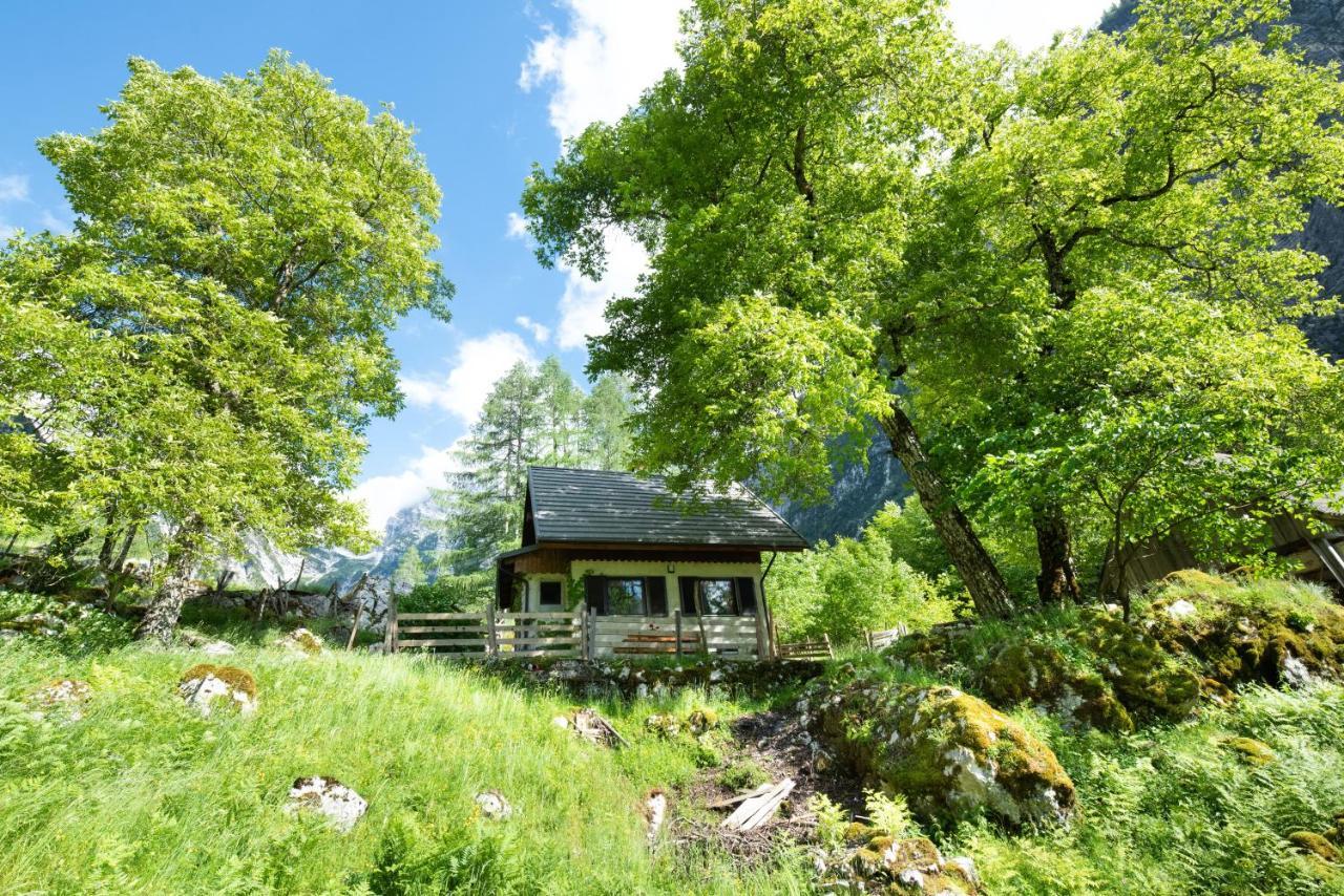 Alpine House Antonia Villa Trenta Dış mekan fotoğraf
