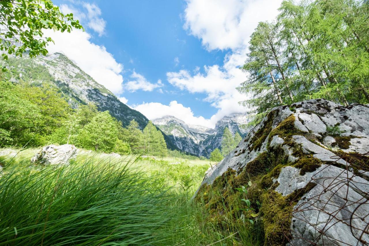 Alpine House Antonia Villa Trenta Dış mekan fotoğraf