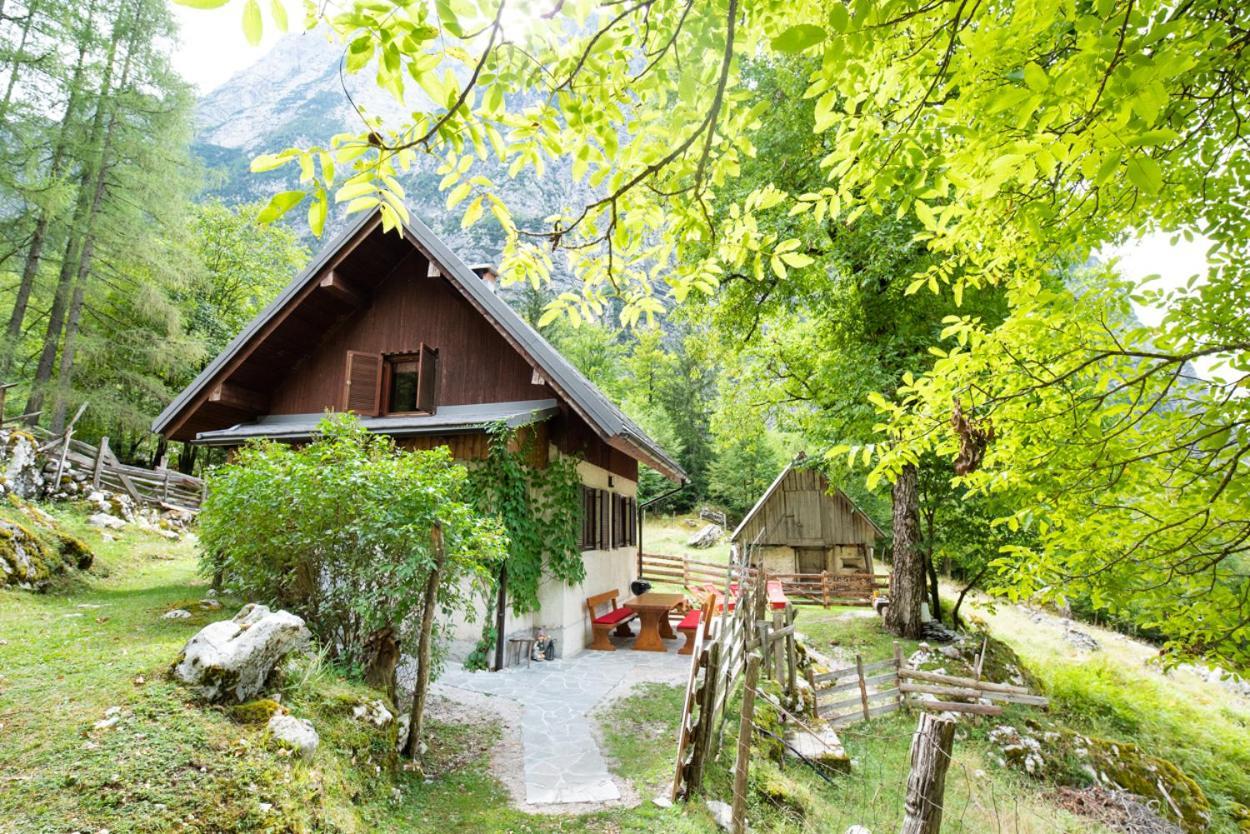 Alpine House Antonia Villa Trenta Dış mekan fotoğraf