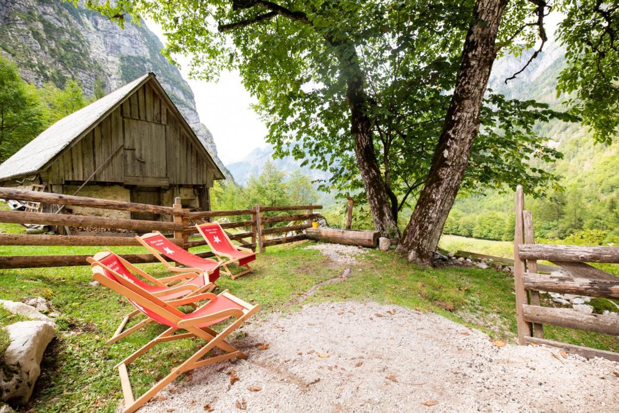 Alpine House Antonia Villa Trenta Dış mekan fotoğraf
