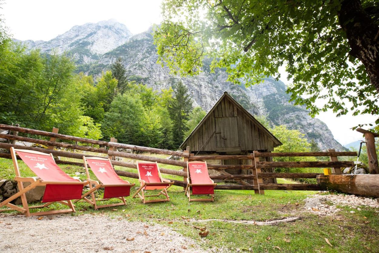 Alpine House Antonia Villa Trenta Dış mekan fotoğraf