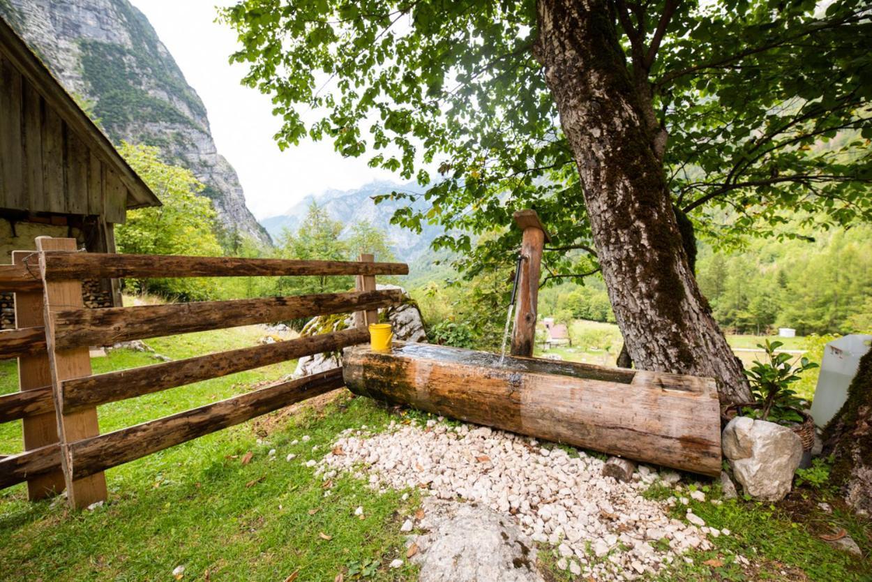 Alpine House Antonia Villa Trenta Dış mekan fotoğraf